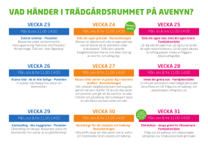 vad händer i trädgårdsrummet på avenyn?