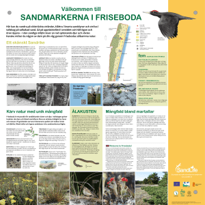 Här kan du vandra på vidsträckta stränder, klättra i branta