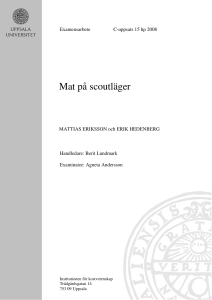 Mat på scoutläger