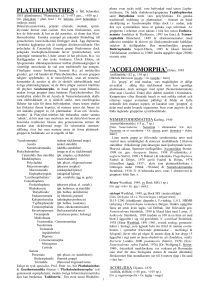 PLATHELMINTHES s. lat. Schneider