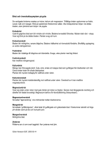 Brist och överskottssymptom på gräs