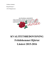 Verksamhetsbeskrivning under våren 2015