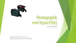 Pedagogisk meritportfölj - TFE