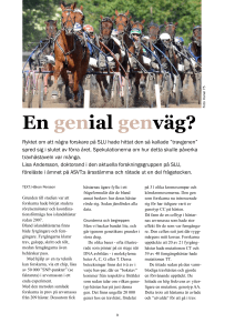 En genial genväg?