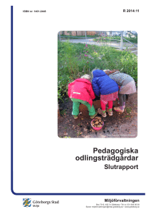 Pedagogiska odlingsträdgårdar
