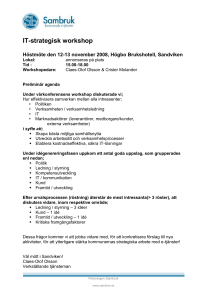 IT-strategisk-WS_program200801112