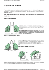 Klipp häckar och träd