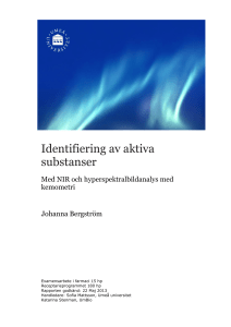 Examensarbete – mall för rapport