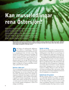 Kan musselodlingar rena östersjön?