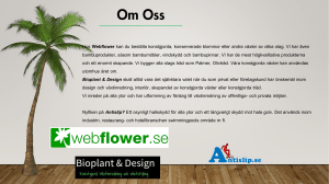 Hos Webflower kan du beställa konstgjorda, konserverade blommor