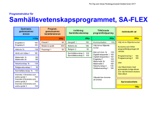 Samhällsvetenskapsprogrammet, SA-FLEX