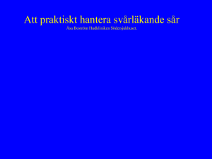Ingen bildrubrik