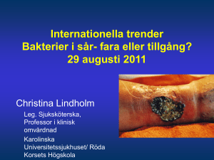 Christina Lindholm