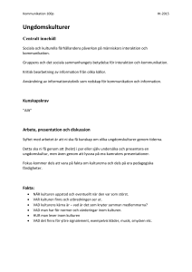Ungdomskulturer