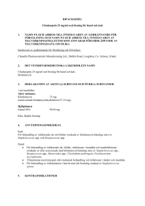 Clindaseptin oral solution PL