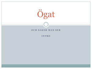 Ögat