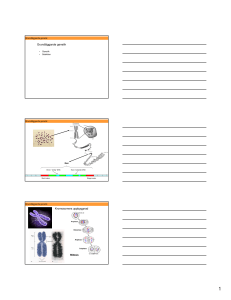 Microsoft PowerPoint - handouts grundl\344ggande genetik