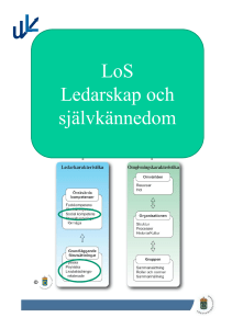LoS Ledarskap och självkännedom