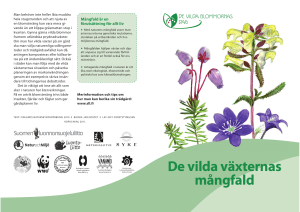 De vilda växternas mångfald