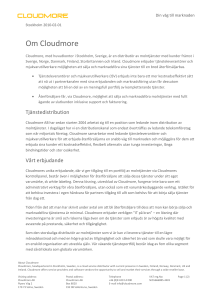 Cloudmore AB har sedan starten 2004 arbetat sig till