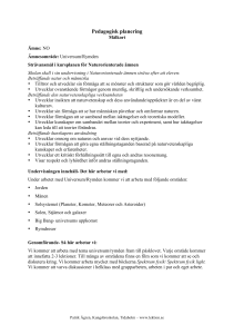 Pedagogisk planering