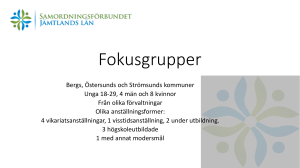 Vad spelar roll för unga medarbetare