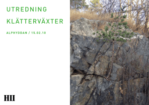 UTREDNING KLÄTTERVÄXTER