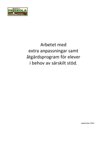 Handlingsplan för extra anpassningar och särskilt stöd