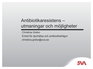 Antibiotikaresistens – utmaningar och möjligheter