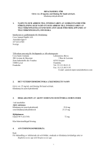 Givix vet oral solution PL