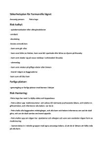 Säkerhetsplan för Farmarville lägret