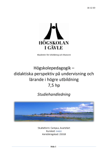 Högskolepedagogik – didaktiska perspektiv på undervisning och