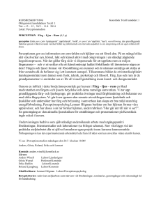 Perceptionen ger oss information om omvärlden och