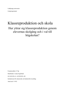 EXAMENSARBETE - Hulda vt14 - IEI