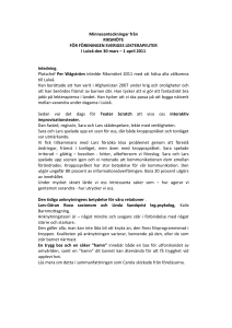 Minnesanteckningar från - Sveriges Lekterapeuter