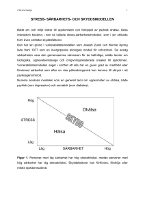 stress- sårbarhets- och skyddsmodellen