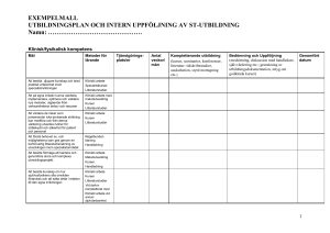 4. Exempelmall
