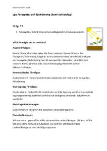 Lpp fotosyntes förbränning