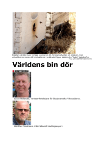 Biodlare världen över tvingas se sina bin dö. Forskarna tvistar om