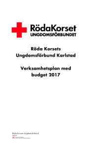 Verksamhetsplan + budget 2017