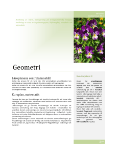 Geometri - Pilskolan Uppsala