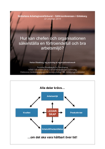 Hur kan chefen och organisationen säkerställa en - SAN-Nytt