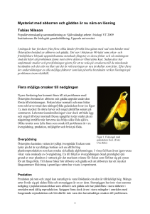 Mysteriet med abborren och gäddan är nu nära en lösning Tobias