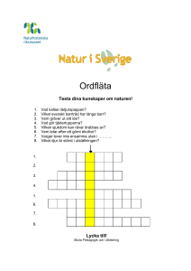 Ordfläta