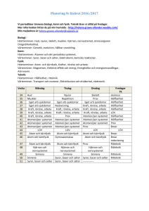 Planering 9c läsåret 2016/2017