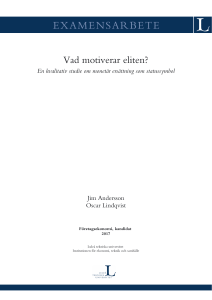 Vad motiverar eliten?