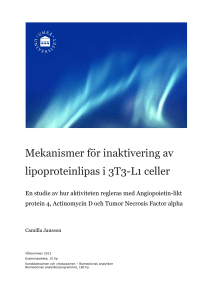Mekanismer för inaktivering av lipoproteinlipas i 3T3