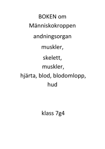 7g4BOKEN om Människo