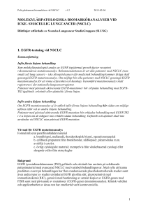 SMÅCELLIG LUNGCANCER (NSCLC)
