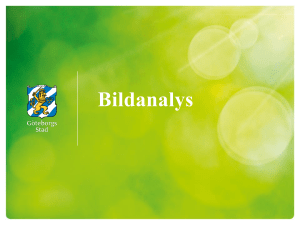 Bildanalys - WordPress.com